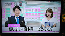 NHK和歌山放送『あすのWA』 NHK大阪『おはよう関西』 3