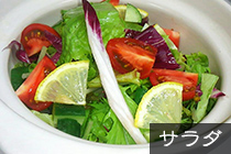 眼力精進ソース料理2「サラダ」